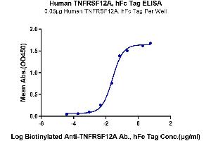 ELISA image for Tumor Necrosis Factor Receptor Superfamily, Member 12A (TNFRSF12A) (AA 28-80) protein (Fc Tag) (ABIN7275762)