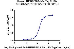 Immobilized Human TNFRSF12A, hFc Tag at 0. (TNFRSF12A Protein (AA 28-80) (Fc Tag))