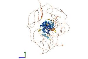 AlphaFold protein structure predicition of Human Recombinant SEC16B Protein, UniprotID Q96JE7 (SEC16B Protein (AA 1-1060) (His tag))