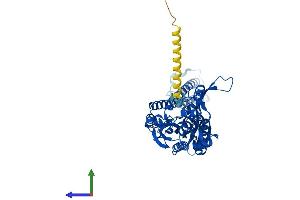 Protein Structure (PS) image for Seryl-tRNA Synthetase (SARS) (AA 1-514) protein (His tag) (ABIN7544176)