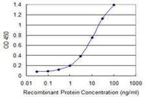 Detection limit for recombinant GST tagged RELT is 0. (RELT Antikörper  (AA 26-124))