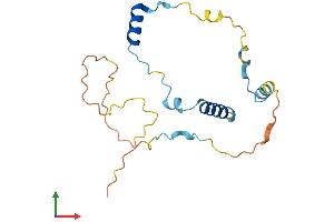 Protein Structure (PS) image for Male Enhanced Antigen 1 (MEA1) (AA 1-174) protein (His tag) (ABIN7557827)