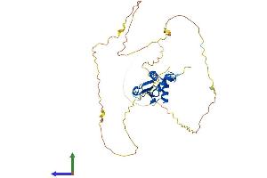 Protein Structure (PS) image for Interferon Regulatory Factor 2 (IRF2) (AA 1-349) protein (His tag) (ABIN7548539)