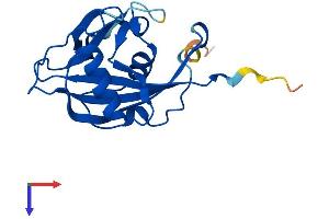 NUDT15 Protein (AA 1-170) (His tag)