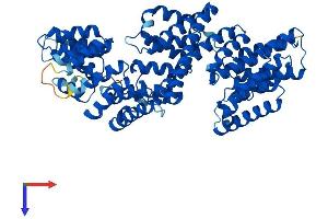 TTC30A Protein (AA 1-665) (His tag)