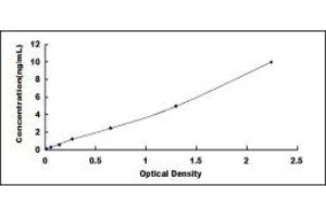 Typical standard curve (ADAM17 ELISA Kit)