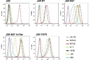 Flow cytometry analysis of HD5 and control antibodies (i. (HLA Class I Heavy Chain Antikörper)