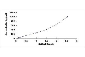 Typical standard curve (Amphiregulin ELISA Kit)