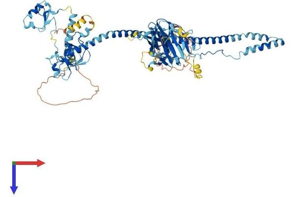 TRIM36 Protein (AA 1-728) (His tag)