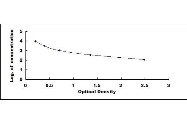 Cyclic GMP ELISA Kit