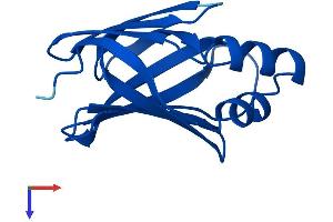 CRABP2 Protein (AA 1-138) (His tag)