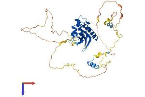 HS1BP3 Protein (AA 1-392) (His tag)
