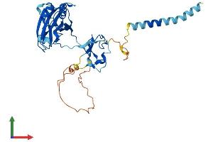 Protein Structure (PS) image for Cell Growth Regulator with Ring Finger Domain 1 (CGRRF1) (AA 1-332) protein (His tag) (ABIN7553427)