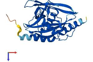 NUDT7 Protein (AA 1-238) (His tag)