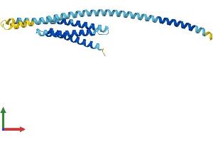 Protein Structure (PS) image for BCL2/adenovirus E1B 19kDa Interacting Protein 1 (BNIP1) (AA 1-228) protein (His tag) (ABIN7545934)