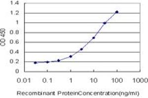 Detection limit for recombinant GST tagged CTNNAL1 is approximately 0. (CTNNAL1 Antikörper  (AA 277-380))