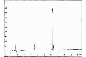 Image no. 2 for KiSS-1 Metastasis-Suppressor (KISS1) peptide (Ovalbumin) (ABIN5666260) (KiSS-1 Metastasis-Suppressor (KISS1) peptide (Ovalbumin))