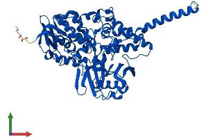 Protein Structure (PS) image for Monoamine Oxidase A (MAOA) (AA 1-527) protein (His tag) (ABIN7552191)