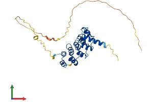 Protein Structure (PS) image for Regulatory Factor X-Associated Ankyrin Containing Protein (RFXANK) (AA 1-260) protein (His tag) (ABIN7551331)