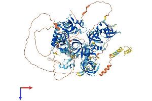 TDRD1 Protein (AA 1-1180) (His tag)