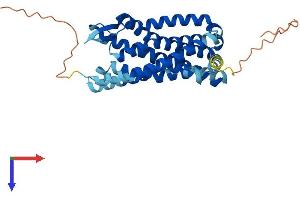 CCR3 Protein (AA 1-355) (His tag)