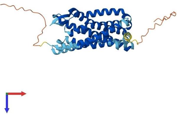 CCR3 Protein (AA 1-355) (His tag)