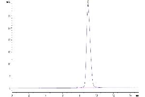 Size-exclusion chromatography-High Pressure Liquid Chromatography (SEC-HPLC) image for V-Set and Immunoglobulin Domain Containing 1 (VSIG1) (AA 22-232) protein (His tag) (ABIN7274764)