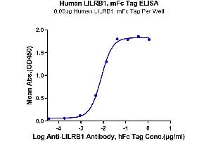 Immobilized Human LILRB1, mFc Tag at 0. (LILRB1 Protein (AA 24-458) (mFc Tag))
