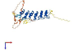 NFKBIE Protein (AA 1-364) (His tag)