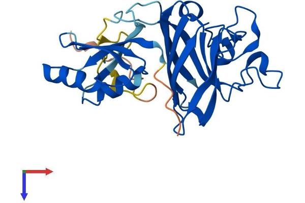 Superoxide dismutase copper chaperone Protein (AA 1-274) (His tag)