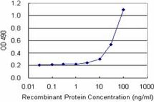 Sandwich ELISA detection sensitivity ranging from 3 ng/mL to 100 ng/mL.