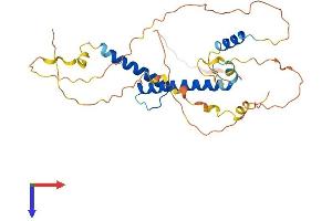 MYOD1 Protein (AA 1-320) (His tag)