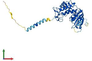 AlphaFold protein structure predicition of Human Recombinant CD38 Protein, UniprotID P28907 (CD38 Protein (AA 1-300) (His tag))