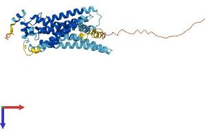 S1PR4 Protein (AA 1-384) (His tag)