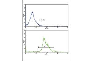 Flow Cytometry (FACS) image for anti-Paired Box 4 (PAX4) antibody (ABIN3002750)