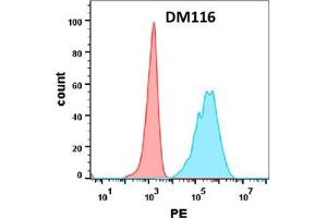 Flow cytometry analysis with Anti-OX40 (DM116) on Expi293 cells transfected with human OX40 (Blue histogram) or Expi293 transfected with irrelevant protein (Red histogram).