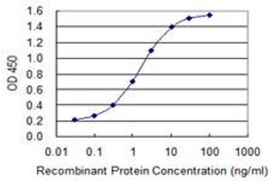 Detection limit for recombinant GST tagged MB is 0. (Myoglobin Antikörper  (AA 2-100))