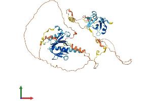 AlphaFold protein structure predicition of Human Recombinant SHC2 Protein, UniprotID P98077