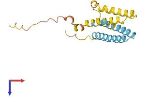 CMTM5 Protein (AA 1-156) (His tag)
