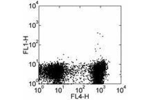 Image no. 2 for anti-Sialophorin (SPN) antibody (FITC) (ABIN473770) (CD43 Antikörper  (FITC))