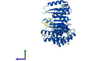 Protein Structure (PS) image for F-Box Protein 39 (FBXO39) (AA 1-442) protein (His tag) (ABIN7547531)
