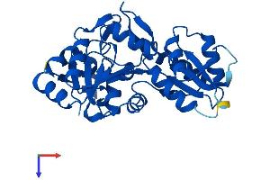 PDXP Protein (AA 1-292) (His tag)