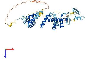 TADA1 Protein (AA 1-335) (His tag)