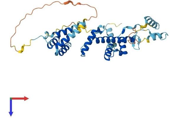 TADA1 Protein (AA 1-335) (His tag)
