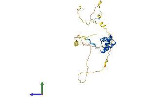 AlphaFold protein structure predicition of Mouse Recombinant Barx1 Protein, UniprotID Q9ER42