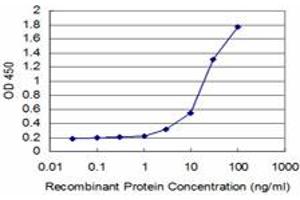 Detection limit for recombinant GST tagged SYN1 is approximately 1ng/ml as a capture antibody. (SYN1 Antikörper  (AA 362-450))