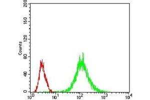 Flow cytometric analysis of Jurkat cells using MAP2K5 mouse mAb (green) and negative control (red). (MAP2K5 Antikörper  (AA 63-180))