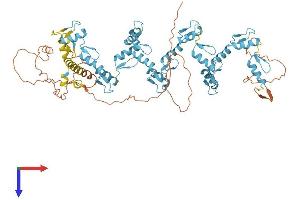 AlphaFold protein structure predicition of Human Recombinant ZNF283 Protein, UniprotID Q8N7M2