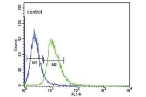 Flow Cytometry (FACS) image for anti-Dopamine Receptor D4 (DRD4) antibody (ABIN3003899) (DRD4 Antikörper)