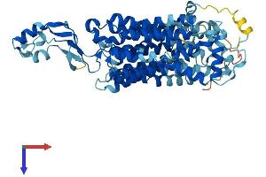 SLC22A4 Protein (AA 1-553) (His tag)